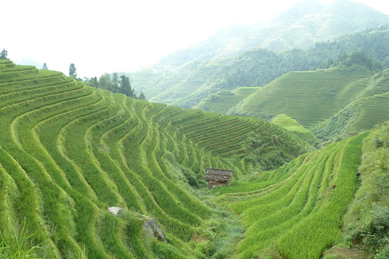 龙脊梯田 · Longji Rice Terraces