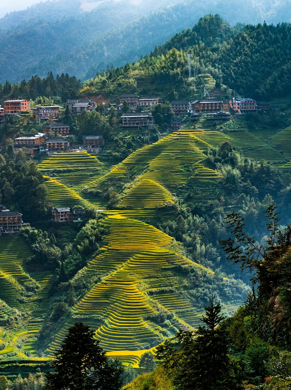 龙脊梯田 · Longji Rice Terraces
