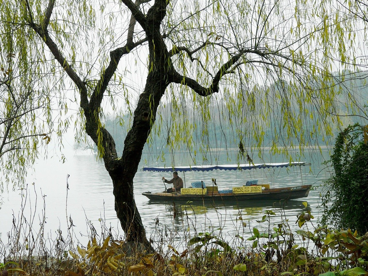 柳浪闻莺 · Orioles Singing in the Willows